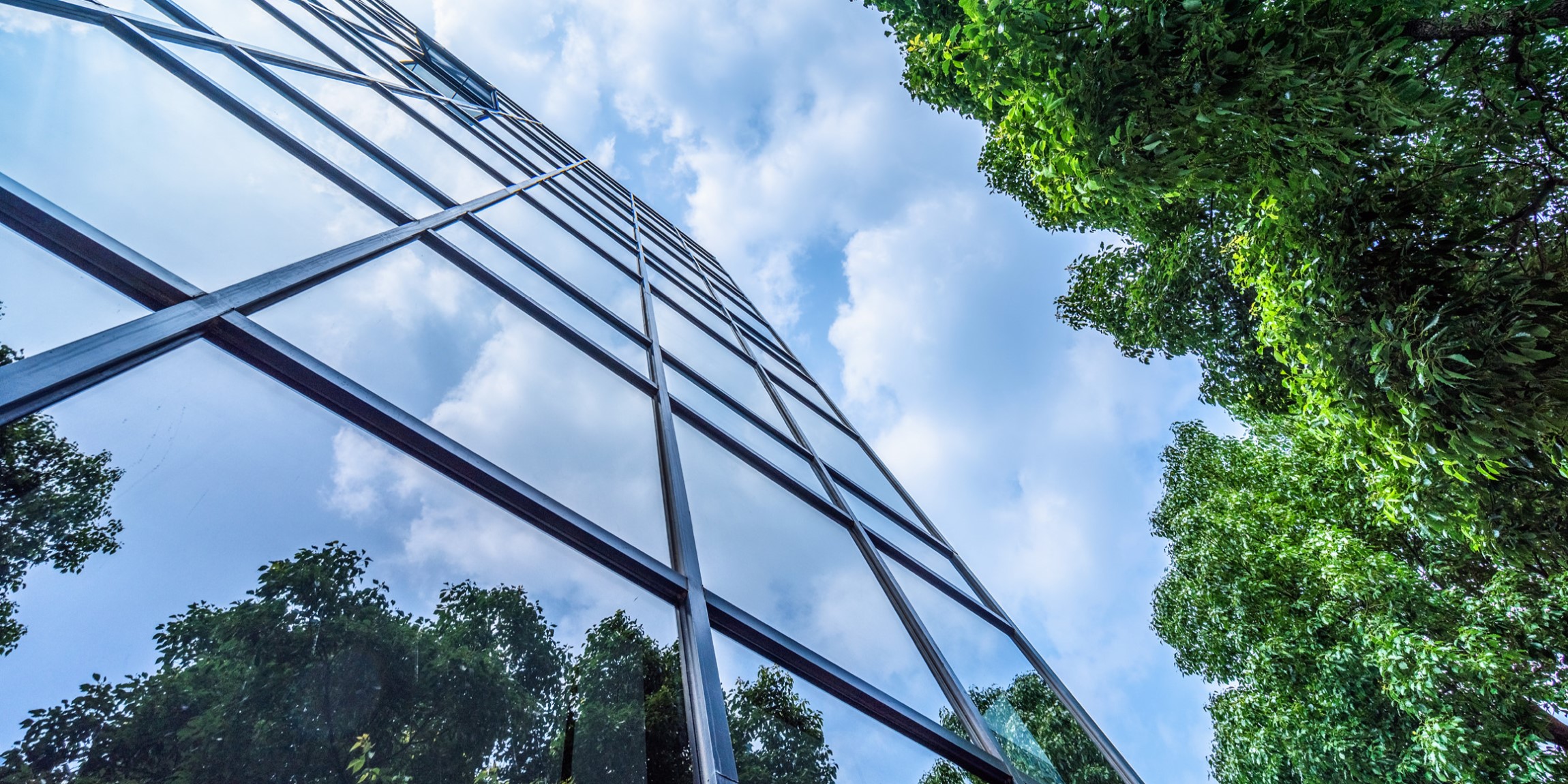 Zameraný na budúcnosť